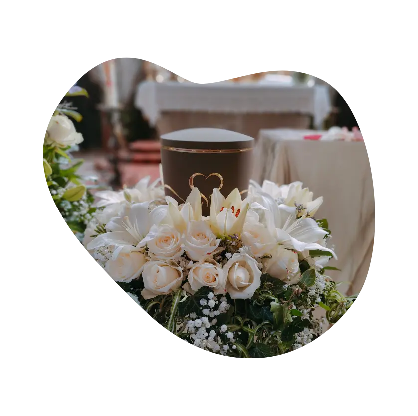 cal direct cremation process